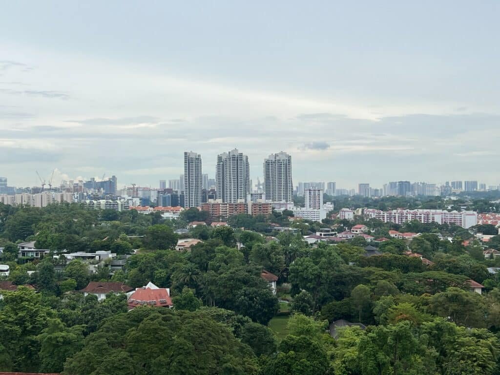 a city with many trees