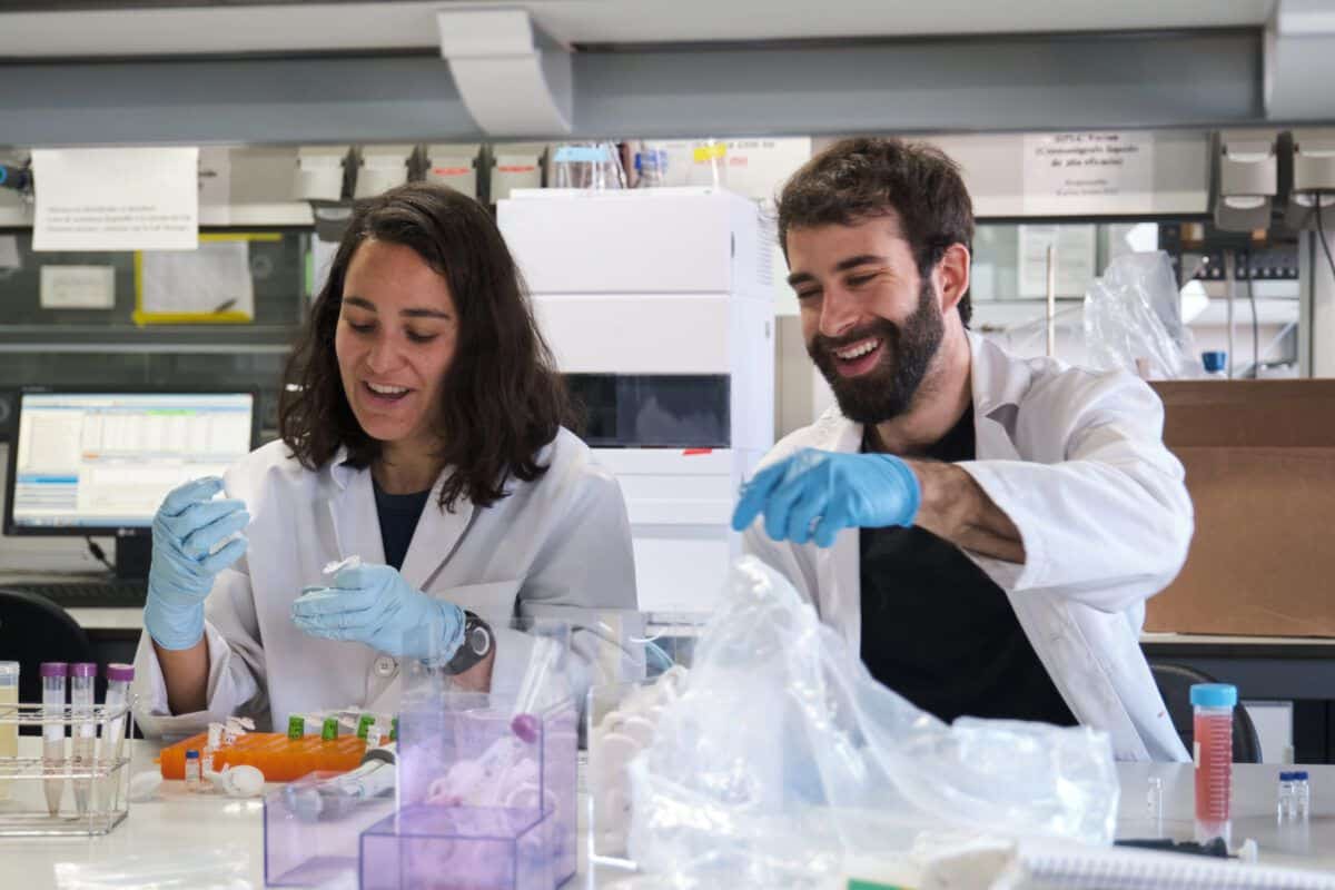 Effective Strategies for Attracting the Ideal PhD Candidate