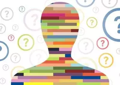 What is the Workplace DISC Assessment?