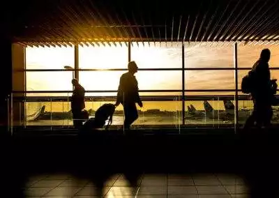 How to Make the Transition from Sales Representative to a Job in International Education
