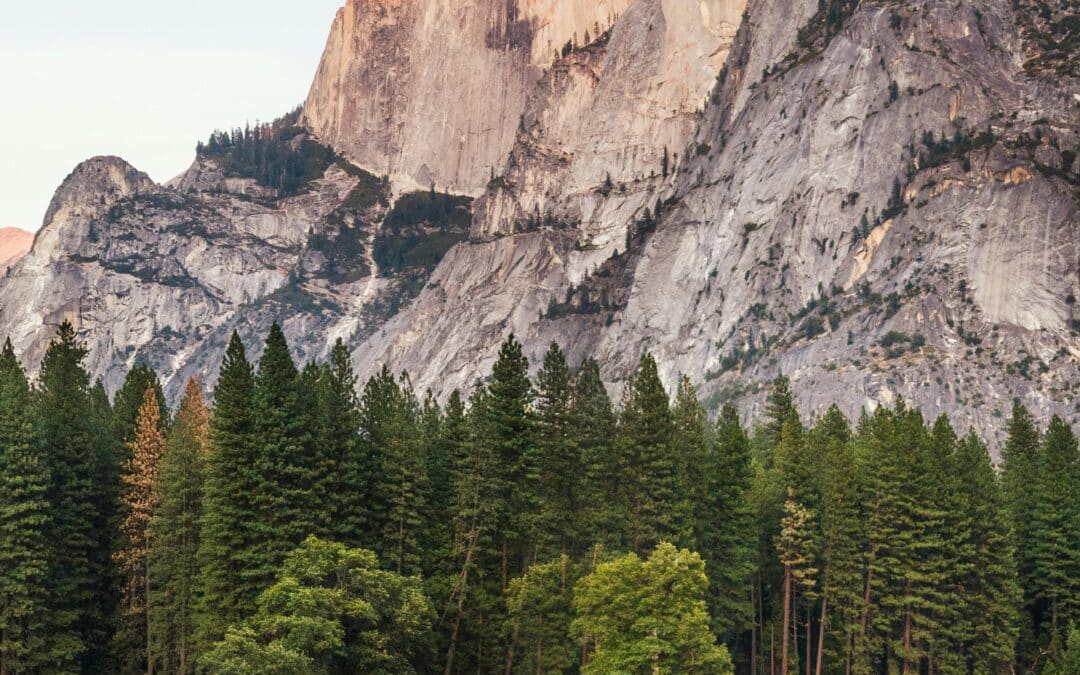 How to Land an Assistant Manager Role in International Higher Education at UK Universities: Top Tips for Job Seekers