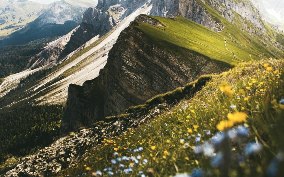 Top Tips for Landing a Travel Plan Coordinator Job at UK Universities: Your Guide to a Career in International Higher Education