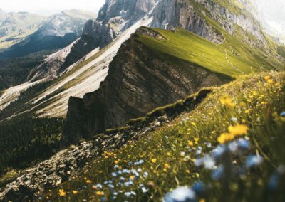 Top Tips for Landing a Travel Plan Coordinator Job at UK Universities: Your Guide to a Career in International Higher Education