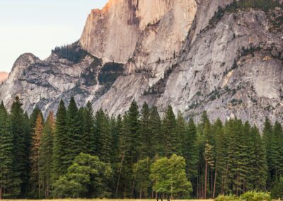 Top Tips for Landing an International Admissions Manager Job at UK Universities