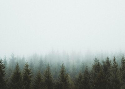 How to Land a Programme Manager Role at UK Universities: Top Tips for Job Seekers in International Higher Education