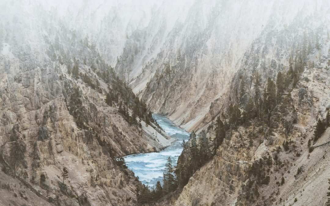 “Top Tips for Landing a Development Associate Role in UK Higher Education: A Job Seeker’s Guide to Success”