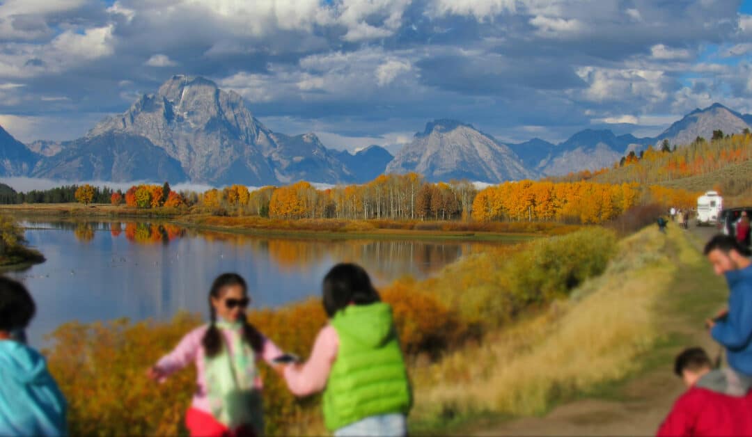 Manager, International Strategy & Partnerships Job in Burwood, Melbourne VIC – SEEK