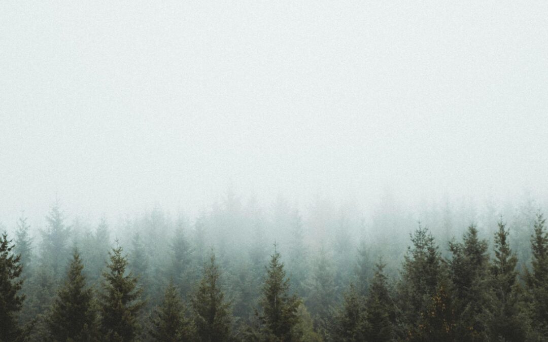 How to Land an International Policy Manager Job at UK Universities: Top Tips for Global Higher Education Careers