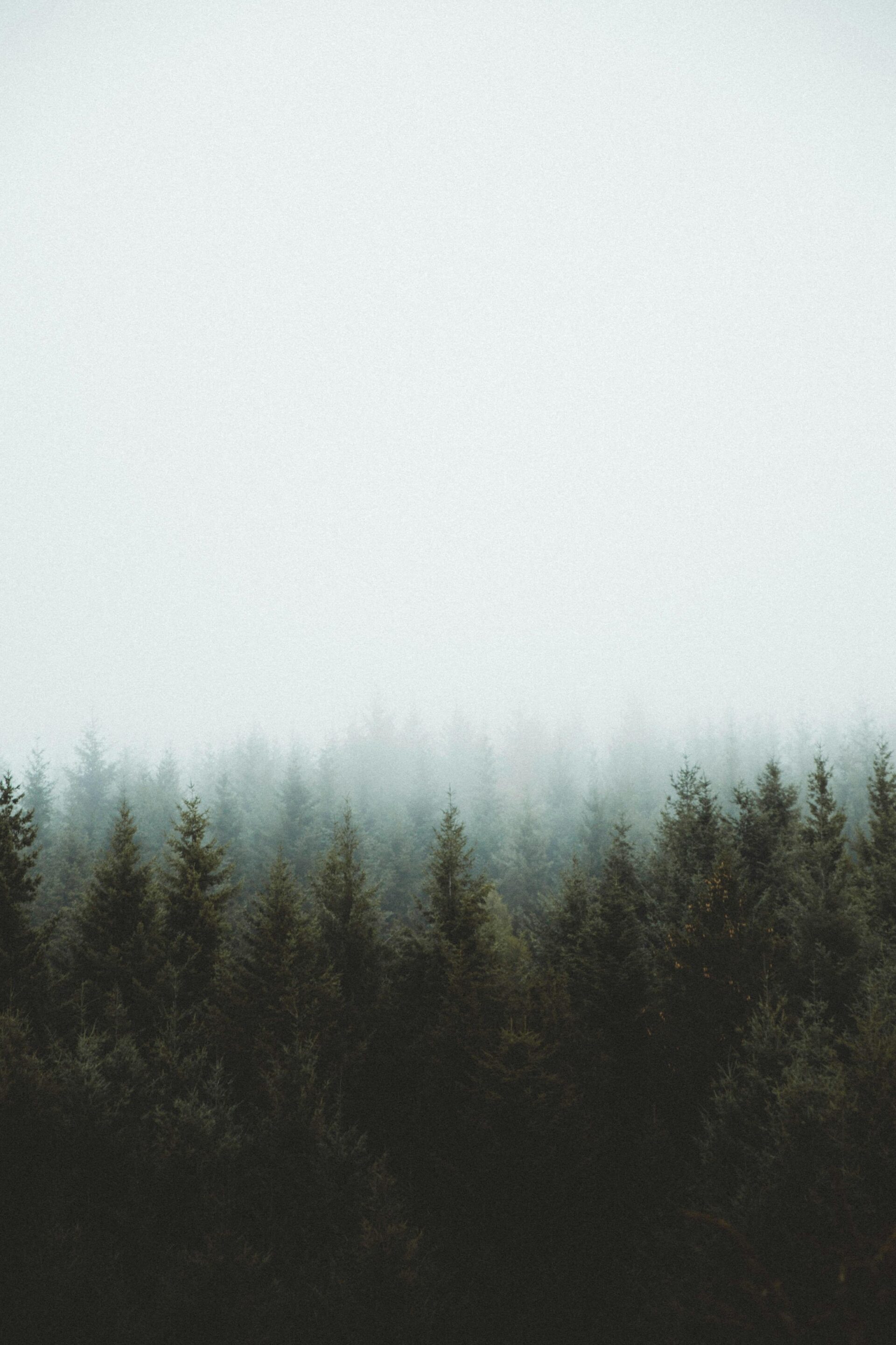 How to Land a Senior Administrator Role in UK Universities: Top Tips for Aspiring International Higher Education Professionals