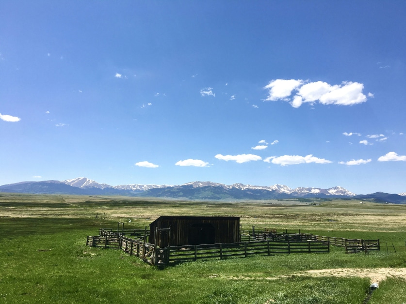 Asst Dir, International Stdnt – Wyoming, United States job with University of Wyoming | 37833335