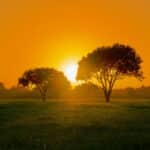 Texas A&M University Corpus Christi