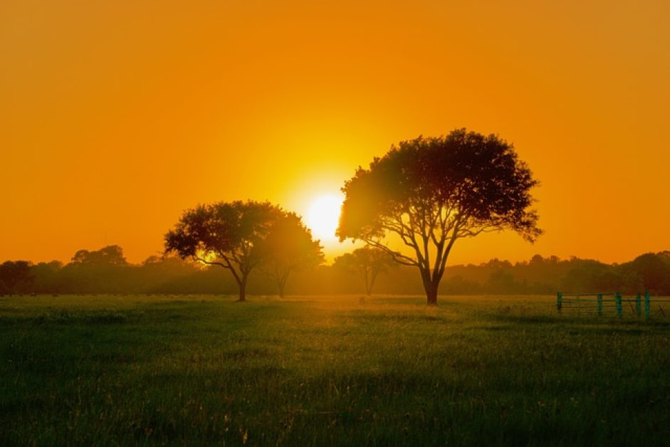 Director, International Student Services – Texas, United States job with Texas A&M University Corpus Christi | 37845017