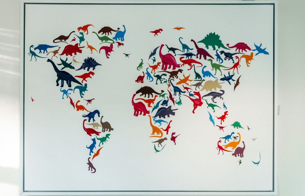 International Affairs Manager at Queen Mary University of London